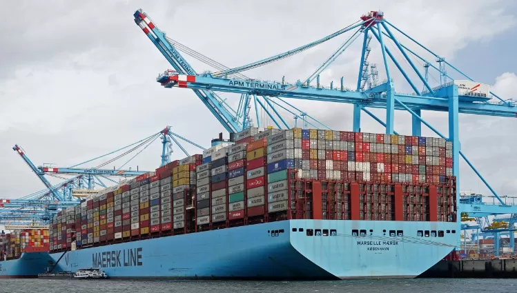 Ocean Freight from China to Marseille