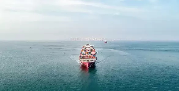 Wilmington Ocean Freight (FCL and LCL): Cost-Efficient Workhorse Transportation